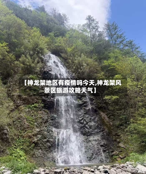 【神龙架地区有疫情吗今天,神龙架风景区旅游攻略天气】