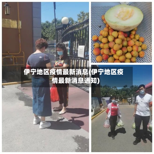 伊宁地区疫情最新消息(伊宁地区疫情最新消息通知)-第3张图片