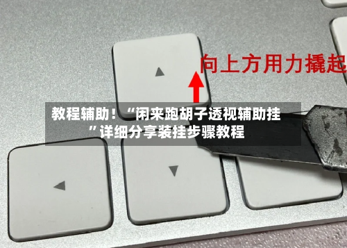 教程辅助！“闲来跑胡子透视辅助挂”详细分享装挂步骤教程-第3张图片