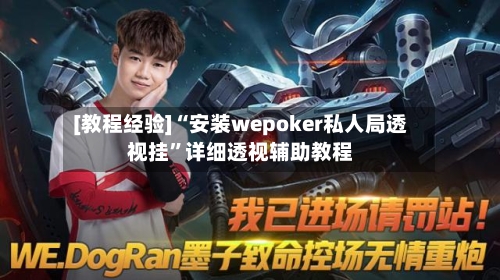 [教程经验]“安装wepoker私人局透视挂”详细透视辅助教程-第2张图片
