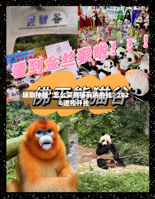 辅助神器“怎么买熊猫麻将的挂”2026透视开挂