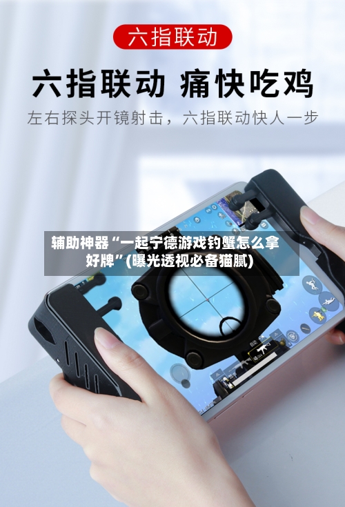 辅助神器“一起宁德游戏钓蟹怎么拿好牌”(曝光透视必备猫腻)-第2张图片