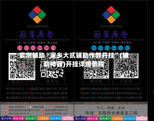 实测辅助“家乡大贰辅助作弊开挂”(辅助神器)开挂详细教程-第1张图片