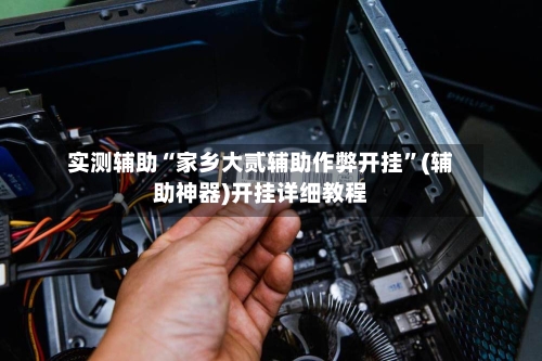实测辅助“家乡大贰辅助作弊开挂”(辅助神器)开挂详细教程-第3张图片