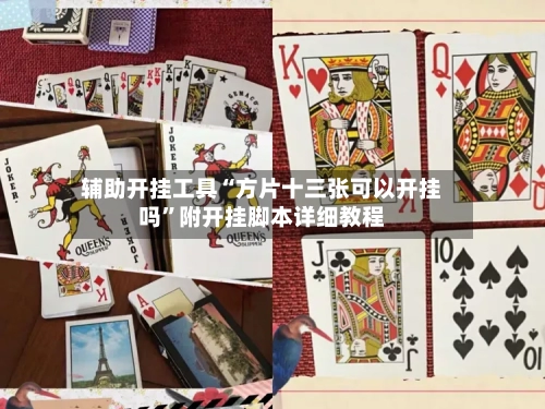 辅助开挂工具“方片十三张可以开挂吗”附开挂脚本详细教程-第3张图片