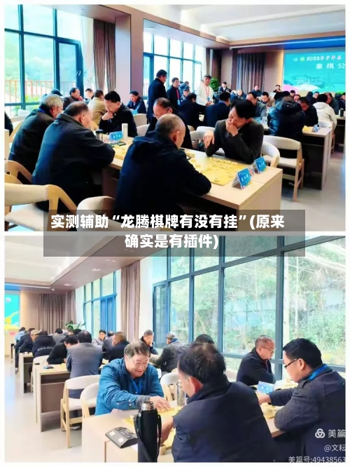 实测辅助“龙腾棋牌有没有挂	”(原来确实是有插件)-第2张图片