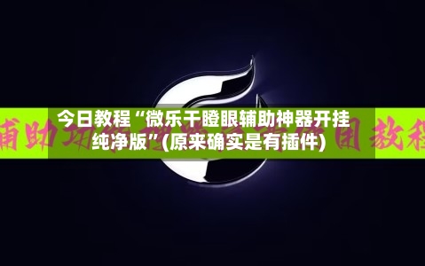 今日教程“微乐干瞪眼辅助神器开挂纯净版”(原来确实是有插件)-第2张图片