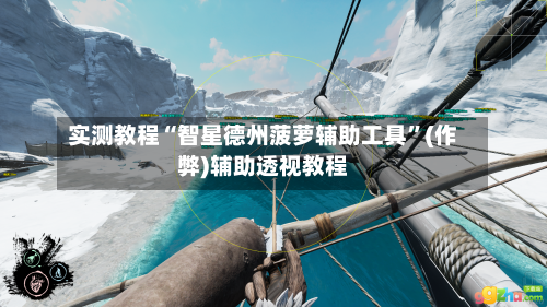 实测教程“智星德州菠萝辅助工具”(作弊)辅助透视教程-第2张图片
