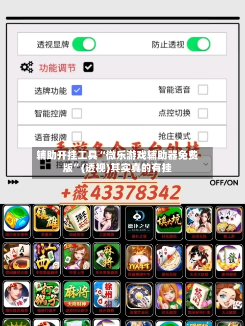 辅助开挂工具“微乐游戏辅助器免费版”(透视)其实真的有挂-第3张图片