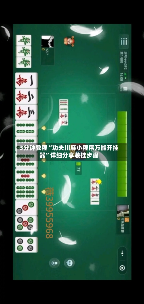 3分钟教程“功夫川麻小程序万能开挂器	”详细分享装挂步骤-第3张图片
