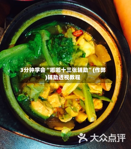 3分钟学会“嘟嘟十三张辅助”(作弊)辅助透视教程-第2张图片