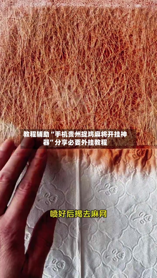 教程辅助“手机贵州捉鸡麻将开挂神器”分享必要外挂教程-第2张图片