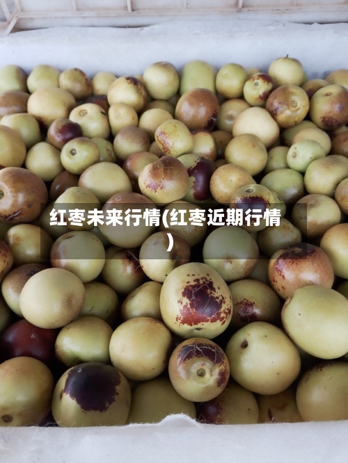 红枣未来行情(红枣近期行情)-第2张图片