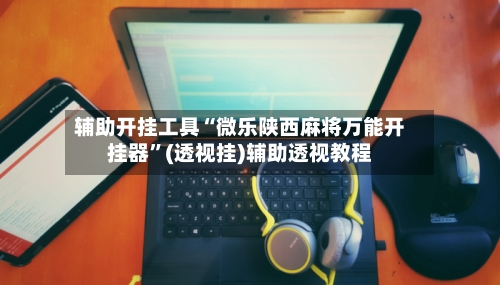 辅助开挂工具“微乐陕西麻将万能开挂器”(透视挂)辅助透视教程-第2张图片