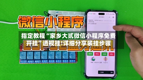 指定教程“家乡大贰微信小程序免费开挂”透视挂!详细分享装挂步骤-第3张图片