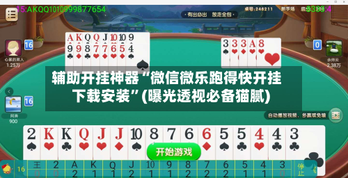 辅助开挂神器“微信微乐跑得快开挂下载安装”(曝光透视必备猫腻)-第3张图片