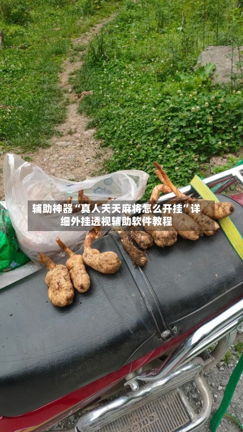 辅助神器“真人天天麻将怎么开挂”详细外挂透视辅助软件教程-第3张图片