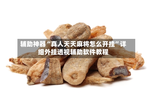 辅助神器“真人天天麻将怎么开挂”详细外挂透视辅助软件教程-第2张图片