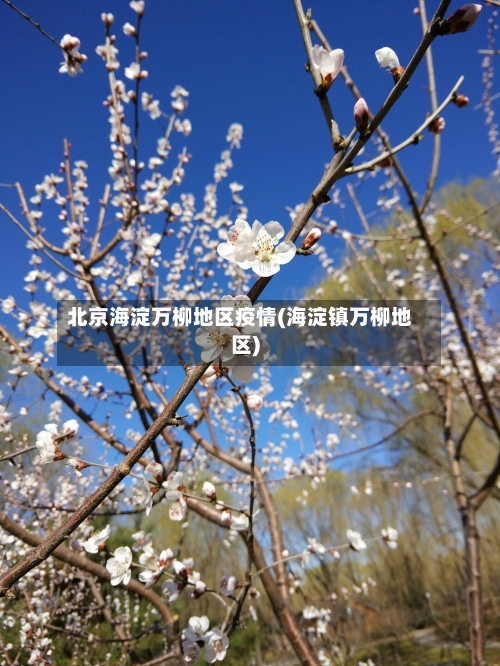 北京海淀万柳地区疫情(海淀镇万柳地区)-第2张图片