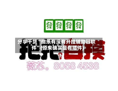 分享干货“微乐有没有开挂辅助器软件”(原来确实是有插件)