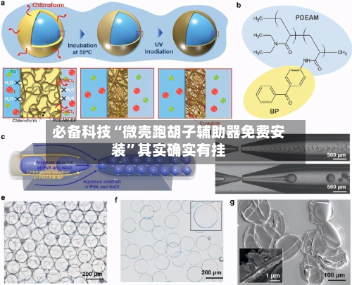必备科技“微壳跑胡子辅助器免费安装”其实确实有挂-第3张图片