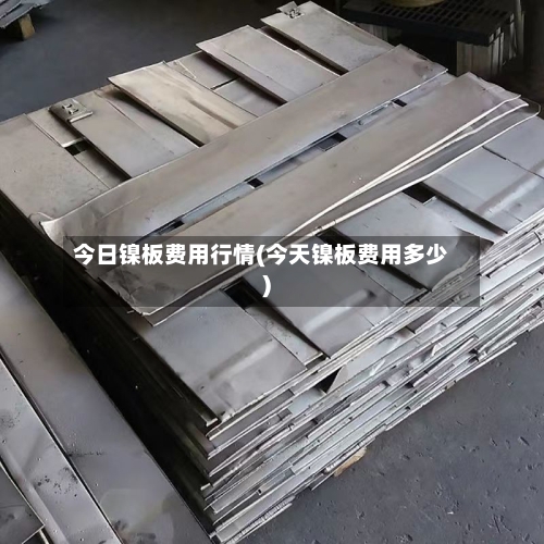 今日镍板费用行情(今天镍板费用多少)-第2张图片