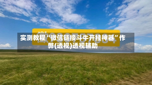 实测教程“微信链接斗牛开挂神器	”作弊(透视)透视辅助-第2张图片