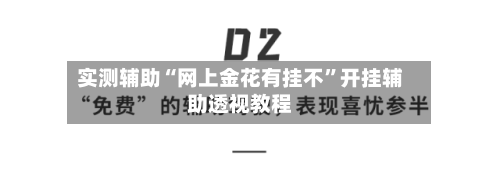 实测辅助“网上金花有挂不”开挂辅助透视教程-第3张图片