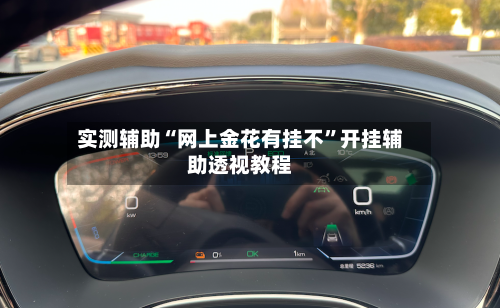 实测辅助“网上金花有挂不”开挂辅助透视教程-第2张图片