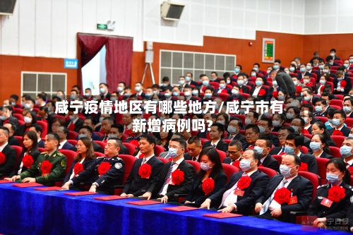 咸宁疫情地区有哪些地方/咸宁市有新增病例吗?-第2张图片