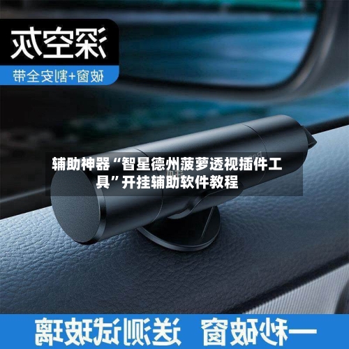 辅助神器“智星德州菠萝透视插件工具”开挂辅助软件教程