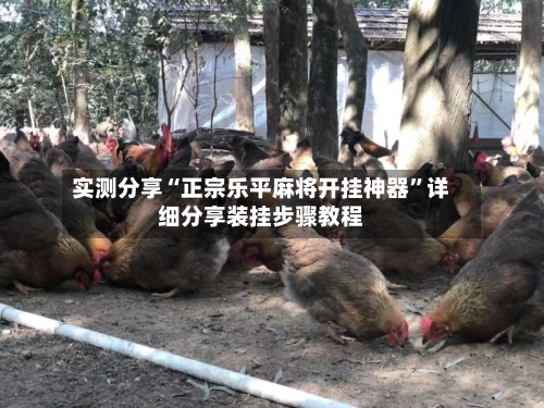 实测分享“正宗乐平麻将开挂神器”详细分享装挂步骤教程-第2张图片