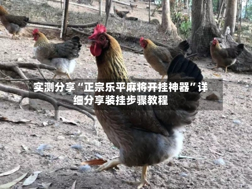 实测分享“正宗乐平麻将开挂神器”详细分享装挂步骤教程