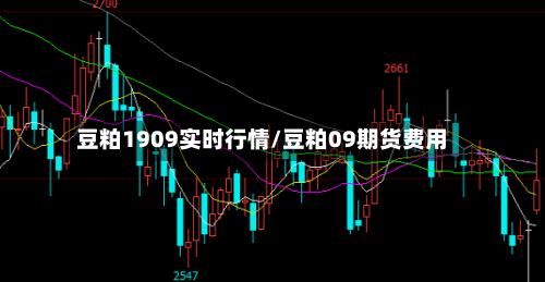 豆粕1909实时行情/豆粕09期货费用-第3张图片