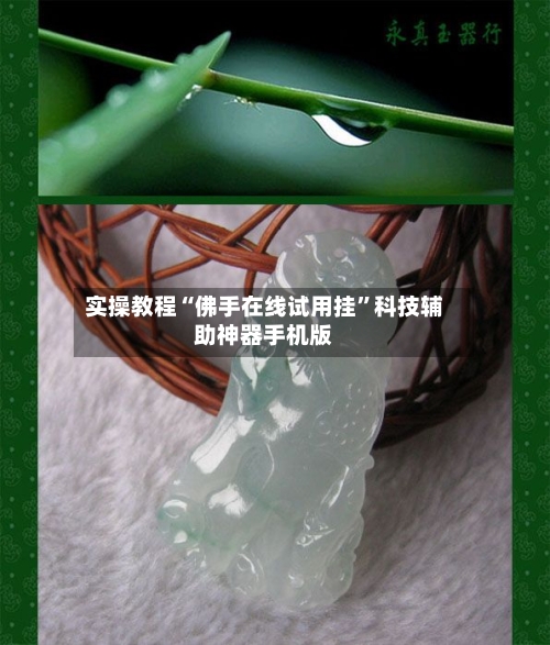 实操教程“佛手在线试用挂”科技辅助神器手机版-第2张图片