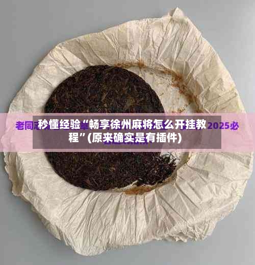 秒懂经验“畅享徐州麻将怎么开挂教程”(原来确实是有插件)-第2张图片