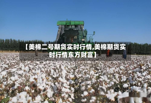 【美棉二号期货实时行情,美棉期货实时行情东方财富】