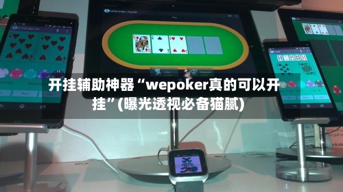 开挂辅助神器“wepoker真的可以开挂”(曝光透视必备猫腻)-第2张图片