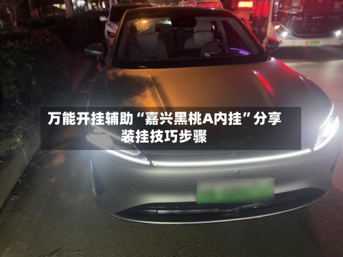 万能开挂辅助“嘉兴黑桃A内挂”分享装挂技巧步骤-第3张图片
