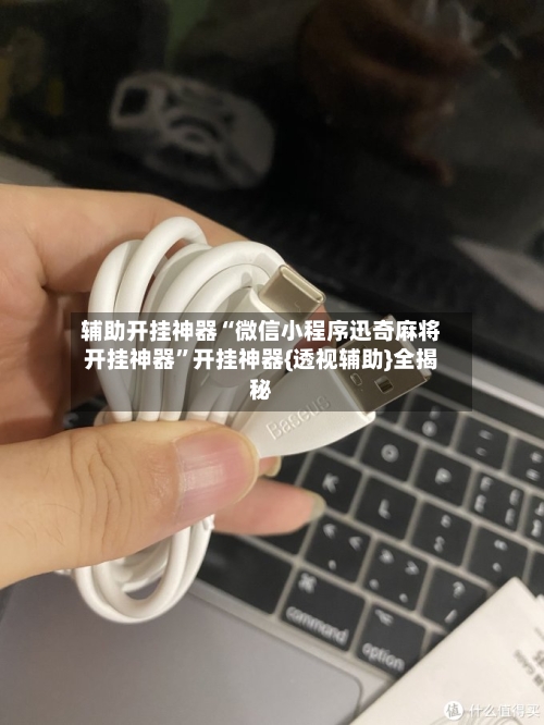 辅助开挂神器“微信小程序迅奇麻将开挂神器”开挂神器{透视辅助}全揭秘-第3张图片