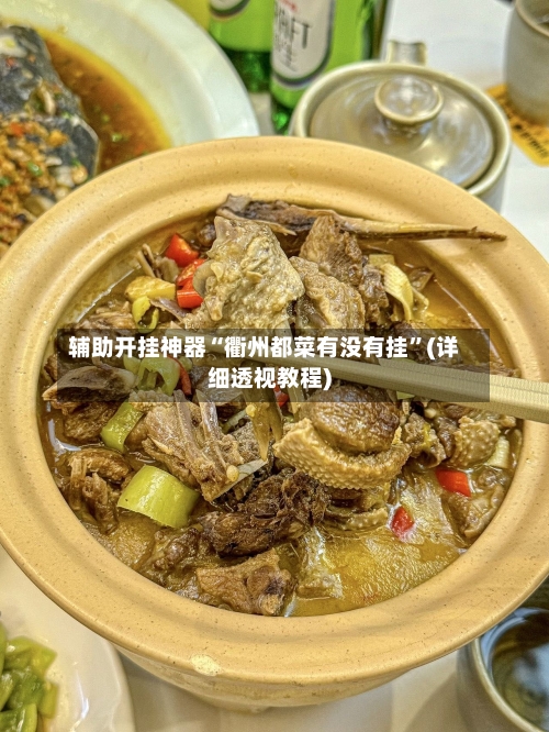 辅助开挂神器“衢州都菜有没有挂	”(详细透视教程)-第2张图片