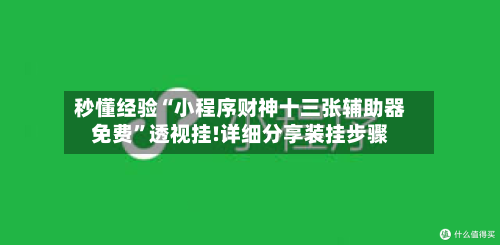 秒懂经验“小程序财神十三张辅助器免费”透视挂!详细分享装挂步骤-第3张图片