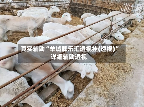 真实辅助“羊城牌乐汇透视挂(透视)”详细辅助透视