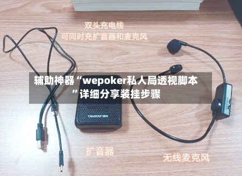 辅助神器“wepoker私人局透视脚本”详细分享装挂步骤-第2张图片