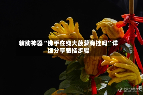 辅助神器“佛手在线大菠萝有挂吗”详细分享装挂步骤