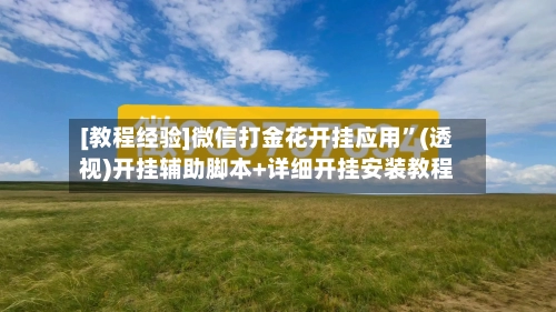 [教程经验]微信打金花开挂应用”(透视)开挂辅助脚本+详细开挂安装教程-第2张图片