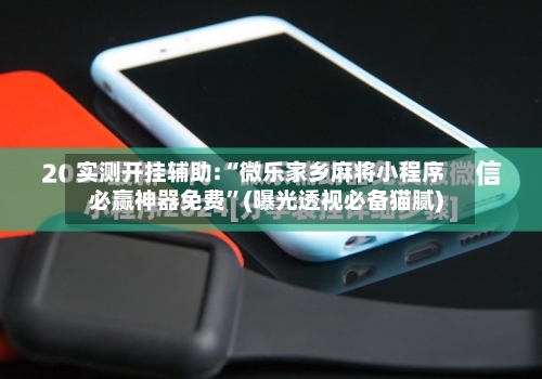 实测开挂辅助:“微乐家乡麻将小程序必赢神器免费”(曝光透视必备猫腻)-第3张图片