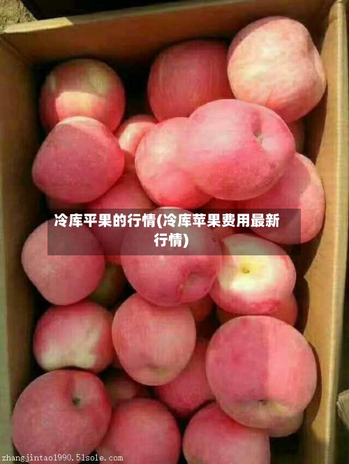 冷库平果的行情(冷库苹果费用最新行情)