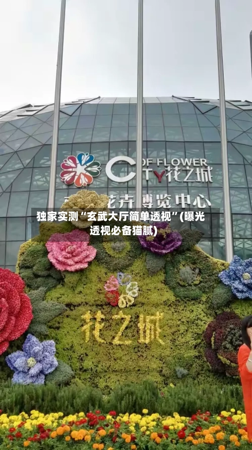 独家实测“玄武大厅简单透视”(曝光透视必备猫腻)