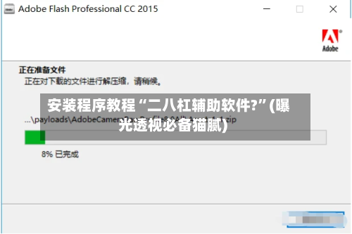 安装程序教程“二八杠辅助软件?”(曝光透视必备猫腻)-第2张图片